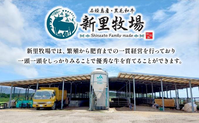 石垣島産黒毛和牛 新里牛 カルビ焼肉 ナカバラ (200g×2) 計400g | 和牛 黒毛和牛 バラ カルビ 石垣