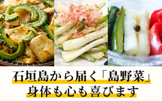 料理人が厳選した島野菜盛り合わせ (6～10品目) 【産地直送 野菜 野菜詰合せセット  やさい セット 詰め合わせ 冷蔵対応 沖縄県 石垣市 八重山 】TM-7
