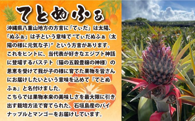 ≪2026年4～10月順次発送≫ 石垣島産 希少な国産『ナムワバナナ』を贅沢に1房丸ごと約1.5-2kg（12-20本） TF-102_R8 約1.5-2kg（12-20本）