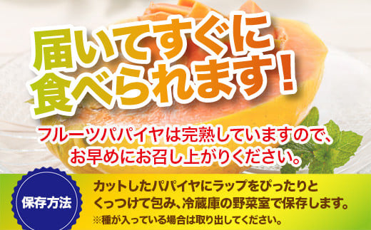 フルーツパパイヤ４kg 【 パパイヤ フルーツパパイヤ 果物 くだもの フルーツ 果実 国産  沖縄県 沖縄 石垣 石垣島 石垣市 】ZH-14