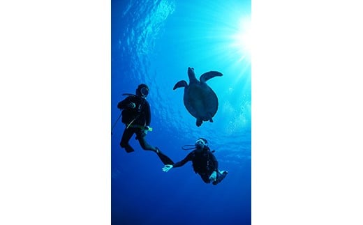 シュノーケリング利用券　石垣島のマンタ・サンゴ・ウミガメに会いに行こう YD-3-1