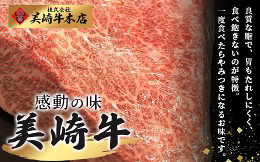 美崎牛ハンバーグ200g×6個【 お肉 美崎牛 ハンバーグ 牛肉 肉 】（tokyoFMで紹介された美崎牛です！♪）O-5