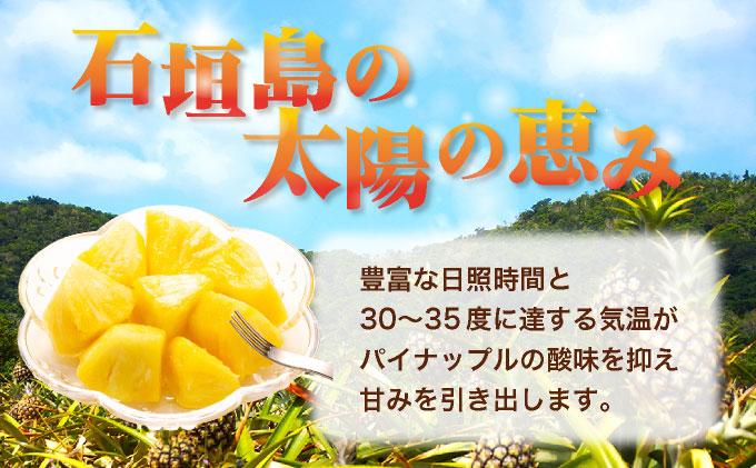 ＜先行予約＞ ピーチパイン スナックパイン 各2玉セット ＜2026年4月発送＞ | 沖縄県 石垣市 石垣島産 パイン パイナップル ZH-024