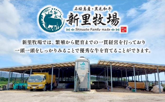 石垣島産黒毛和牛 新里牛 上赤身焼肉 肩サンカク (200g×2) 合計400g | 和牛 黒毛和牛 肩 サンカク 石垣