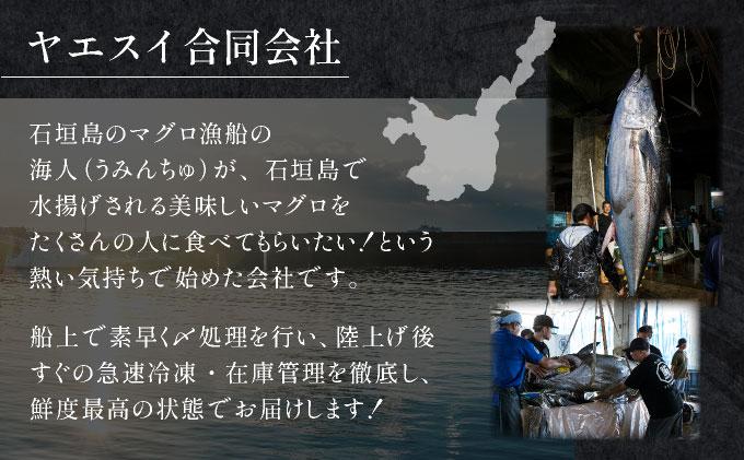 石垣島産 生メバチマグロ 極上 赤身柵 200g～300g×2本 約500g | マグロ 鮪 沖縄県 石垣市 送料無料 天然 まぐろ メバチマグロ めばちまぐろ 刺身 お刺身 冷蔵 ヤエスイ マグロ船直送