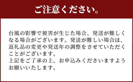訳あり【2026年発送 予約受付分】「紅福姫ブランド」石垣島のマンゴー 約2.4kg 【沖縄県 石垣市 産地直送 旬 石垣島産 マンゴー 完熟マンゴー アーウィン種マンゴー】OT-02