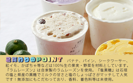 石垣島ミルミル本舗 南の島から島素材ジェラート！【定番人気セット 12個入り】（1個 132ml）　Z-7　【石垣島 石垣市 沖縄県石垣市 セット ジェラート 石垣島産 八重山】  定番人気セット