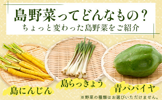 沖縄県 石垣島産 新鮮 やさい BOX 【 島の野菜 詰め合わせセット 】1箱（定番・旬のお野菜６~８種類）｜沖縄 石垣島 産地直送 旬 新鮮 島野菜 野菜セット 野菜 やさい 季節のお野菜 詰め合わせ CK-1 石垣島産 野菜 BOX 1箱