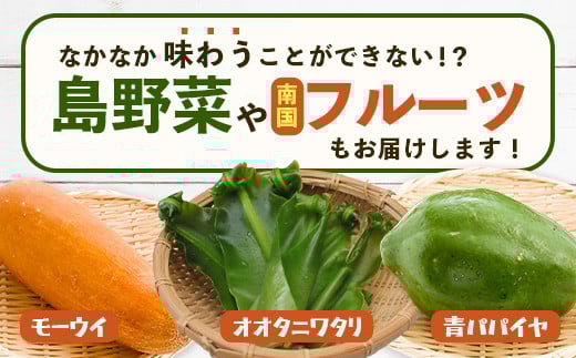 沖縄 石垣島 新鮮 島やさい・くだもの BOX 【 野菜・フルーツ 詰め合わせセット 】1箱 ≪お野菜4～5種類、フルーツ1~2種類≫ ｜沖縄 石垣島 産地直送 旬 果物 フルーツ 新鮮 島野菜 野菜セット 詰め合わせ CK-4 沖縄県 石垣島の野菜・フルーツBOX 1箱