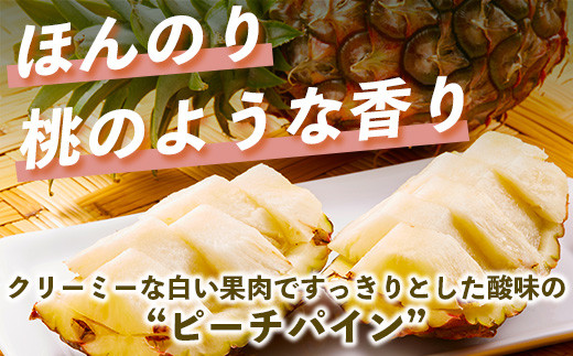 【先行予約】《2026年5月上旬頃より順次発送》石垣島産 ピーチパイン (3玉 約2.5㎏) 【 産地直送 沖縄 石垣 パイナップル フルーツ 】 TP-10 3玉　約2.5kg