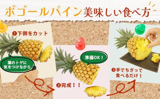 【先行予約】《2026年4月下旬頃より順次発送》石垣島産 ボゴールパイン 3～4玉セット 約3㎏【産地直送 石垣島産 石垣 完熟 パイン パイナップル スナックパイン ボゴール 】TD-3