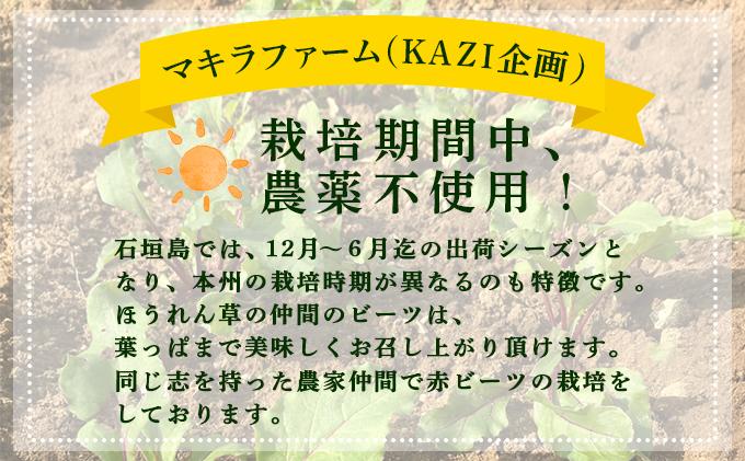 石垣島産 赤ビーツ 2kg ＜2026年1月以降発送＞ | 朝採れ 沖縄県 石垣市 石垣 産地直送 ビーツ 赤ビーツ