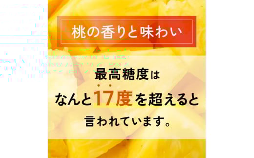 ＜先行予約＞石垣島産 中玉ピーチパイン 6玉 約4.8kg ＜2026年5月以降発送＞【 沖縄県石垣市 石垣島 フルーツ 果物 パイン 産地直送 】SI-119 中玉 6玉 約4.8kg