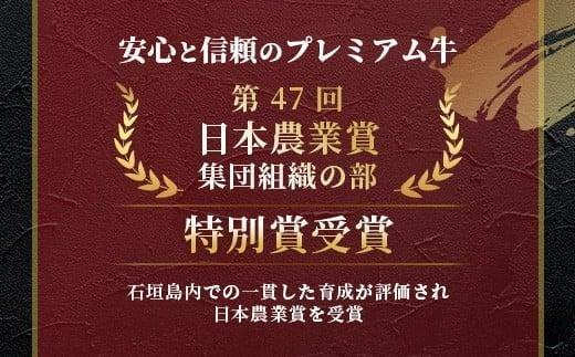 石垣牛 ハンバーグ セット (100g×10個)＜2026年6月発送＞ | 国産 石垣牛100% 沖縄 石垣島産 高級 黒毛和牛 ビーフ ハンバーグセット 2026年6月発送