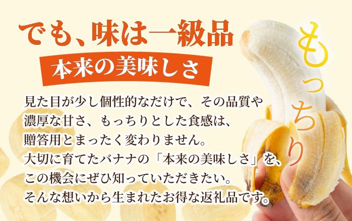 ＜訳あり＞ 大満足！石垣島産バナナ3房 ＜2026年6～10月発送＞ KP-022