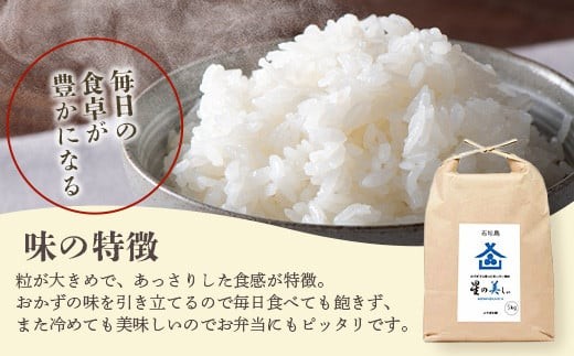 石垣島産 星の美(かい)しゃ 5kg みやぎ米屋【 日本一早い新米の産地 石垣 米 お米 産地直送 旬 ほしじるし 沖縄県 石垣市 】MK-3 