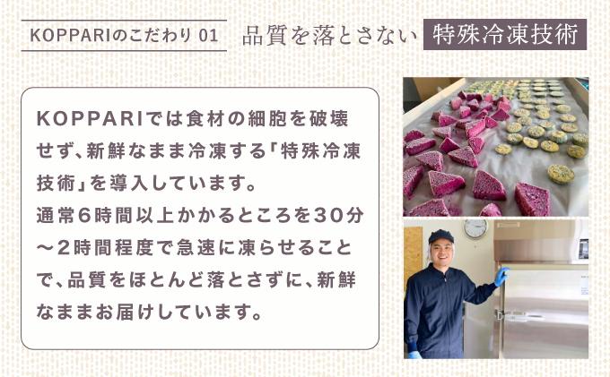 《先行予約》フローズンカットマンゴー400g【2026年6月より順次発送】 |冷凍 マンゴー 沖縄県産 南国フルーツ 冷凍フルーツ 果物 沖縄県石垣市 送料無料 EF-3