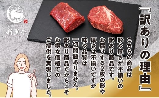 石垣島産 黒毛和牛 新里牛 厚切りヒレステーキ（訳あり・形がふぞろい・不定貫）（200g～250g×2）合計400g以上 ステーキ 焼肉 バーベキュー SZ-30