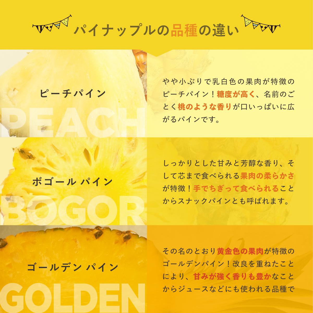 先行予約＜2026年6月より順次発送＞贅沢3種フローズンパイナップル 3パック【 沖縄県 石垣市 果物 パイナップル 冷凍 パイン フローズン 送料無料 】 EF-5 250g×3パック