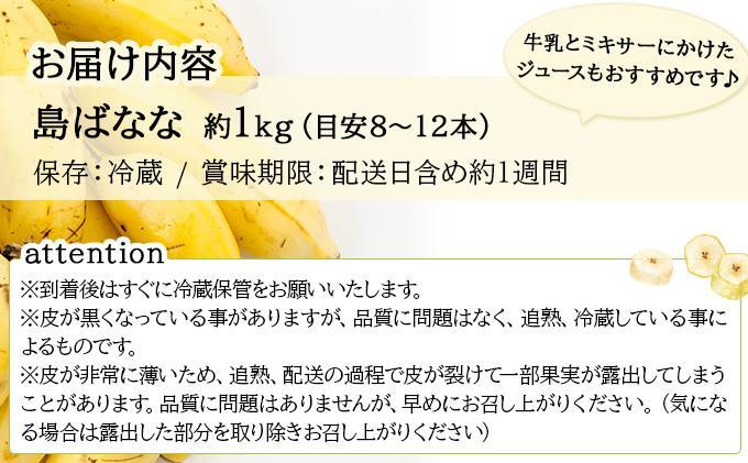 【先行予約 2026年5～10月順次発送】バナナ好きに届けたい！！完全無農薬栽培 もっちり食感がやみつきの希少な国産『プレミアム島ばなな』贅沢に1房丸ごと約1kgお届け！！ 【2026年5~10月発送】約1kg