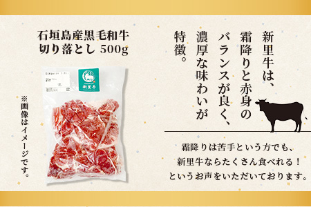 石垣島産 黒毛和牛 新里牛 多用途抜群！ 切落し (500g×1) 500g SZ-13