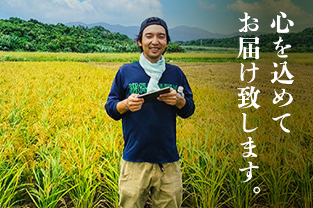 石垣島産 於茂登(おもと)のひかり 5kg みやぎ米屋【 日本一早い新米の産地 お米 産地直送 旬 しきゆたか 沖縄県 石垣市 送料無料 】MK-1