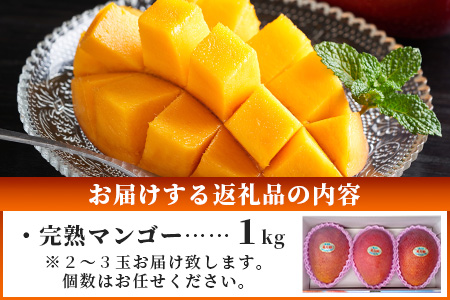 ［予約受付］美ら姫マンゴー1ｋｇ（完熟・アーウィン種）≪2026年7月中旬～順次発送≫ CB-1