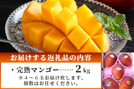 ［予約受付］美ら姫マンゴー2ｋｇ（完熟・アーウィン種）≪2026年7月中旬～順次発送≫ CB-2
