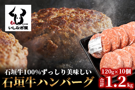 石垣牛ハンバーグ120g×10個 AB-013