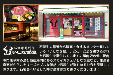 【訳あり】石垣牛 焼肉用　(不揃い)　500g　AB-26