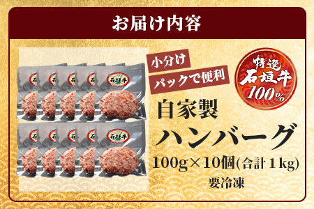 石垣牛ハンバーグ100g×10個（八重山パーツミート）I-9-1