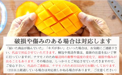 【先行受付】《2025年7月～8月中旬順次発送》訳あり 沖縄マンゴー（石垣島産）4kg ときわマンゴー農園 TK-4-1