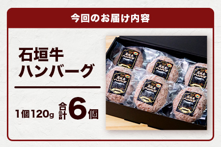 やえやまファームの石垣牛ハンバーグ 6個セット E-27