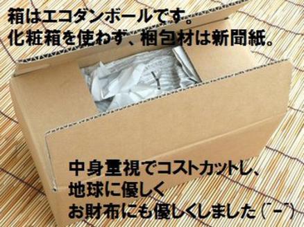 石垣島産 完熟マンゴー 約1kg エコ箱入り（2～3個入り）2025年6月末〜7月下旬発送 SI-31-1