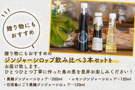 ジンジャーシロップ飲み比べ3種セット(200ML×1本、120ML×2本)　HW-5