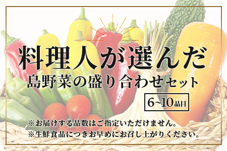 料理人が厳選した島野菜盛り合わせ (6～10品目) 【 野菜詰合せセット  やさい セット 詰め合わせ 冷蔵対応】 TM-7