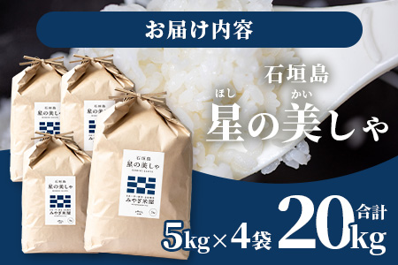 石垣島産 星の美しゃ（ほしのかいしゃ）20kg（5kg×4袋）MK-5-1