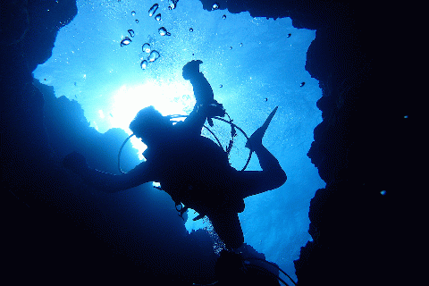 ファンダイビング利用券　石垣島のマンタ・サンゴ・ウミガメに会いに行こう YD-1-1