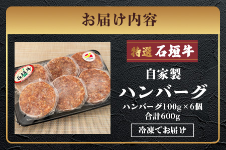 高級 黒毛和牛 石垣牛 100% 自家製 ハンバーグ 100g × 6個 600g  I-21