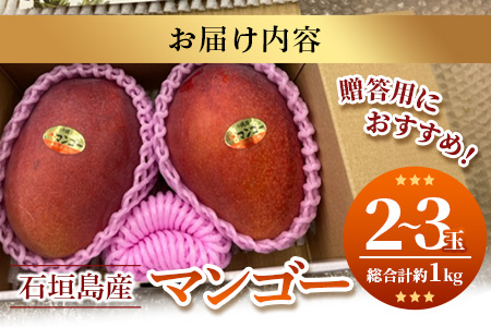 【予約受付】 石垣島産マンゴー 贈答用 (アーウィン種) 2~3玉 合計約1kg《2025年6月中旬より順次発送》AE-5-1