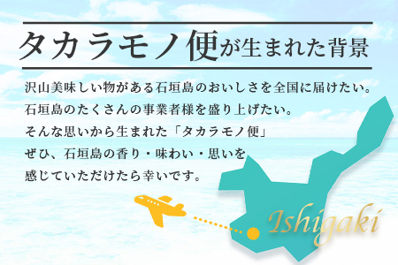 先行予約【新感覚】石垣島の「お肉」詰め合わせ～タカラモノお肉便～【 沖縄 石垣 石垣島 八重山諸島 お肉 南国 詰め合わせ 】SH-006