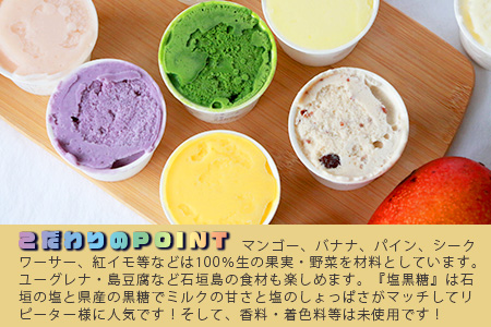 石垣島ミルミル本舗 南の島から島素材ジェラート！【沖縄セット 12個入り】（1個 132ml）　Z-6