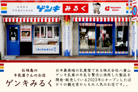 【島外不出のゲンキくん製品が返礼品に!!】ゲンキチーズケーキ 12個 プレーン MIX バラエティ セット 石垣島の牛乳屋さんのチーズケーキ OP-8