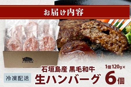 石垣島産　黒毛和牛 生ハンバーグ　120g x 6個 UN-1