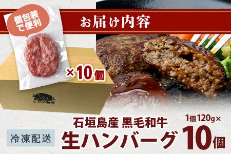 石垣島産　黒毛和牛 生ハンバーグ　120g x 10個 UN-2