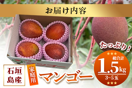【予約受付】 石垣島産 マンゴー 家庭用（良品）（アーウィン種）3玉～5玉入り1箱（1.5kg×1箱）合計約1.5kg《2025年6月中旬より順次発送》AE-11