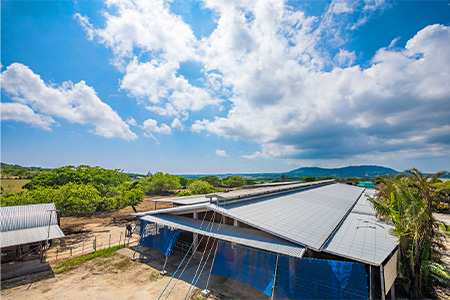 【産地直送】石垣の恵 石垣牛 すき焼き 1kg【日本最南端の黒毛和牛】KB-98