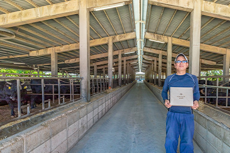 【産地直送】石垣の恵 石垣牛 サーロインステーキ 200g×2【合計400g】【日本最南端の黒毛和牛】KB-99