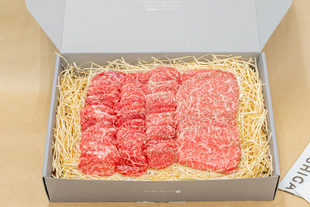 【産地直送】石垣の恵 石垣牛 贅沢焼肉(4種盛)【合計750g】【日本最南端の黒毛和牛】KB-100