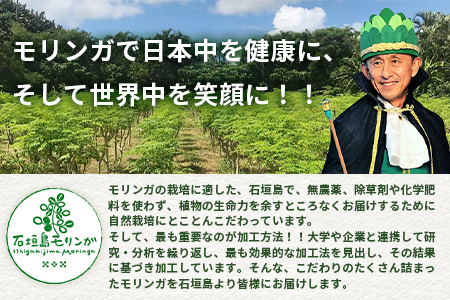 モリンガ茶（ティーパック）MR-1-1